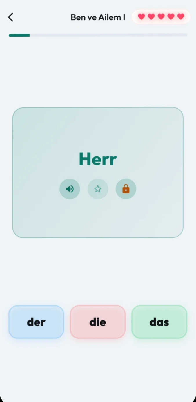 A flashcard asking for the article of a noun