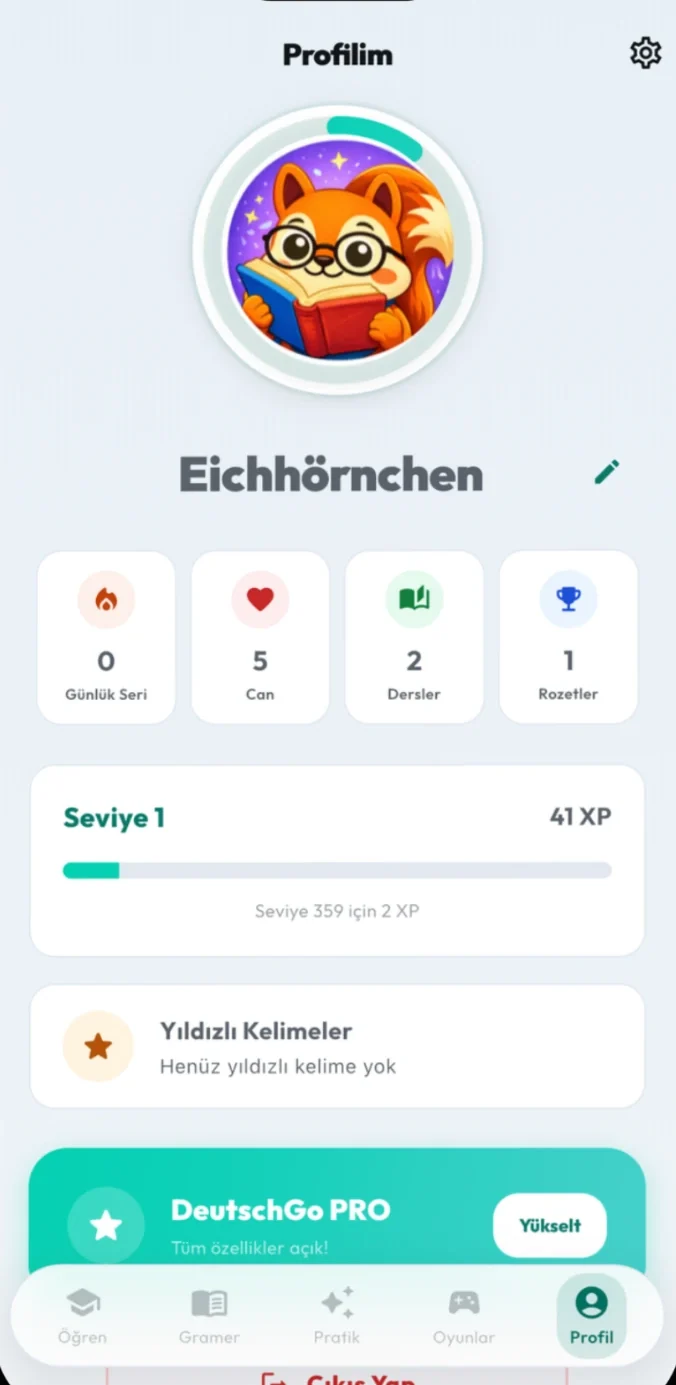 The profile screen with streak, hearts, lessons and badges